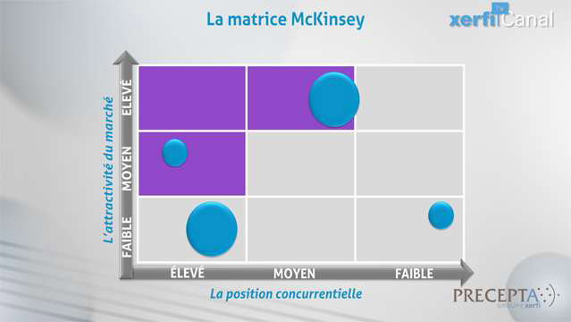 Philippe-Gattet-Comprendre-la-matrice-McKinsey-4802.jpg