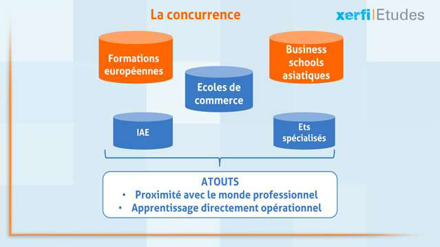 Alexandre-Boulegue-ABO-Le-marche-des-MBA-5529