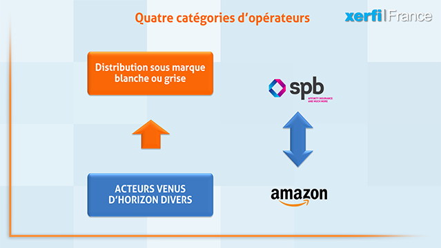 Alexandre-Boulegue-ABO-Les-marches-de-niche-dans-l-assurance-dommages-5980