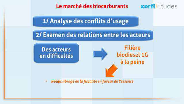 Alexandre-Boulegue-Le-marche-des-biocarburants-5121