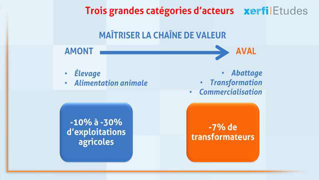 Cathy-Alegria-Le-marche-et-l-industrie-de-la-viande-5135