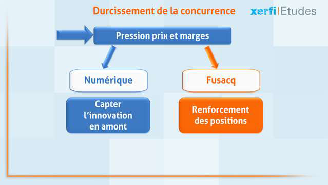 Damien-Festor-L-immobilier-de-logements-en-France-et-en-regions-4727.jpg