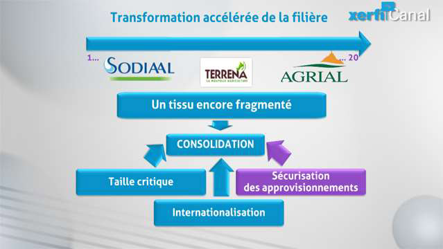 Damien-Festor-Les-cooperatives-agricoles-5212