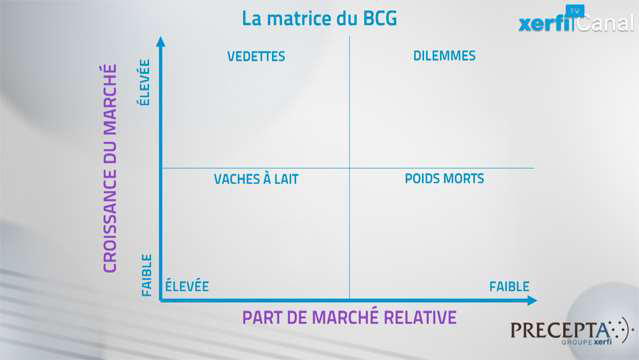 La-matrice-du-BCG-3524