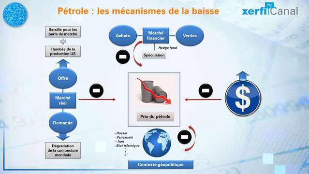 Le-Graphique-Xerfi-Les-mecanismes-de-la-baisse-du-cours-du-petrole-3563.jpg