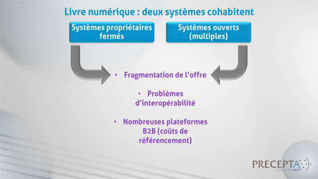 Philippe-Gattet-PGA-Pourquoi-le-livre-numerique-se-developpe-si-lentement-en-France-5225.jpg