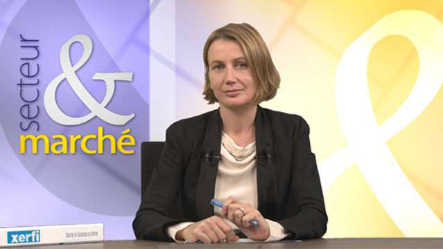 Sabine-Grafe-L-assurance-sur-Internet-a-la-recherche-d-un-business-model-963